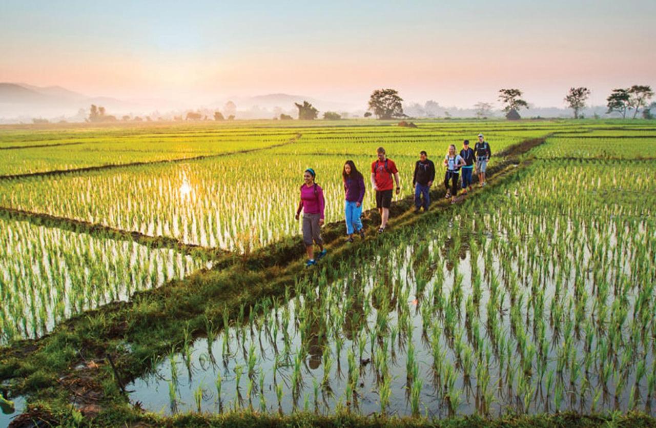 منتجع غويا البوتيكي أوبود المظهر الخارجي الصورة Rice fields in Vietnam